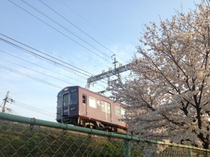 桜と阪急電車