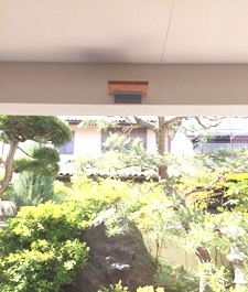 巣のベース