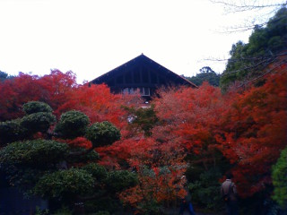 大山崎山荘 (2)