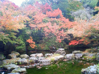 大山崎山荘 (1)